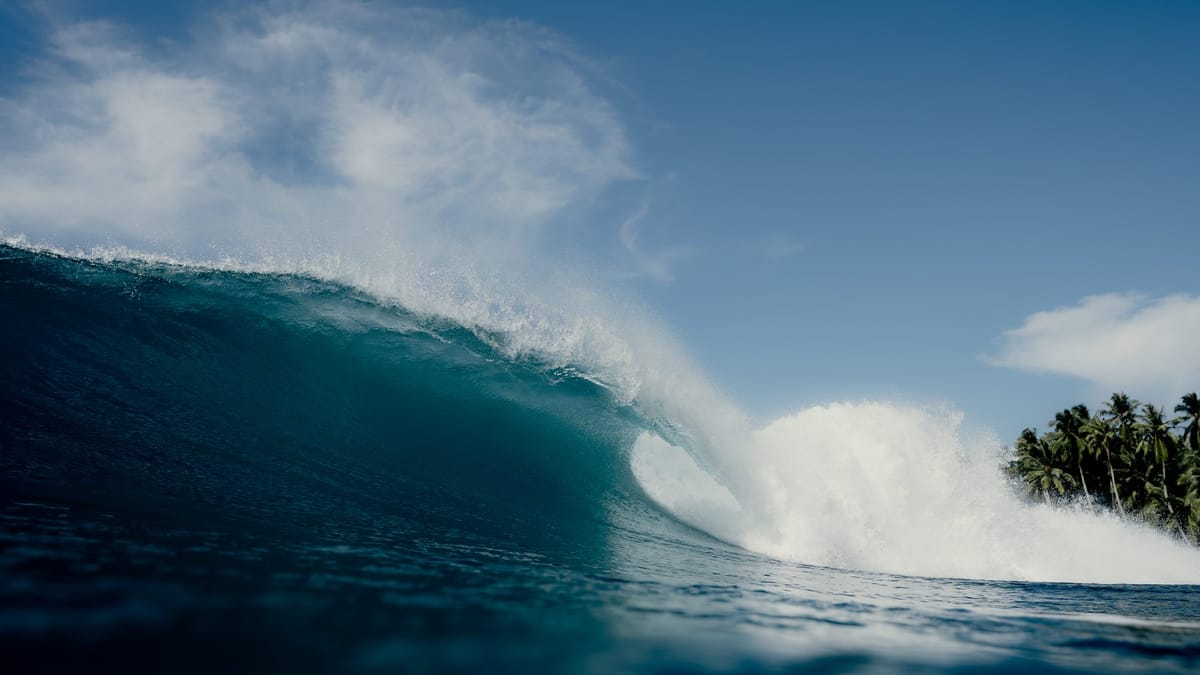 Reef bank, Mentawai, Indonesia 2025