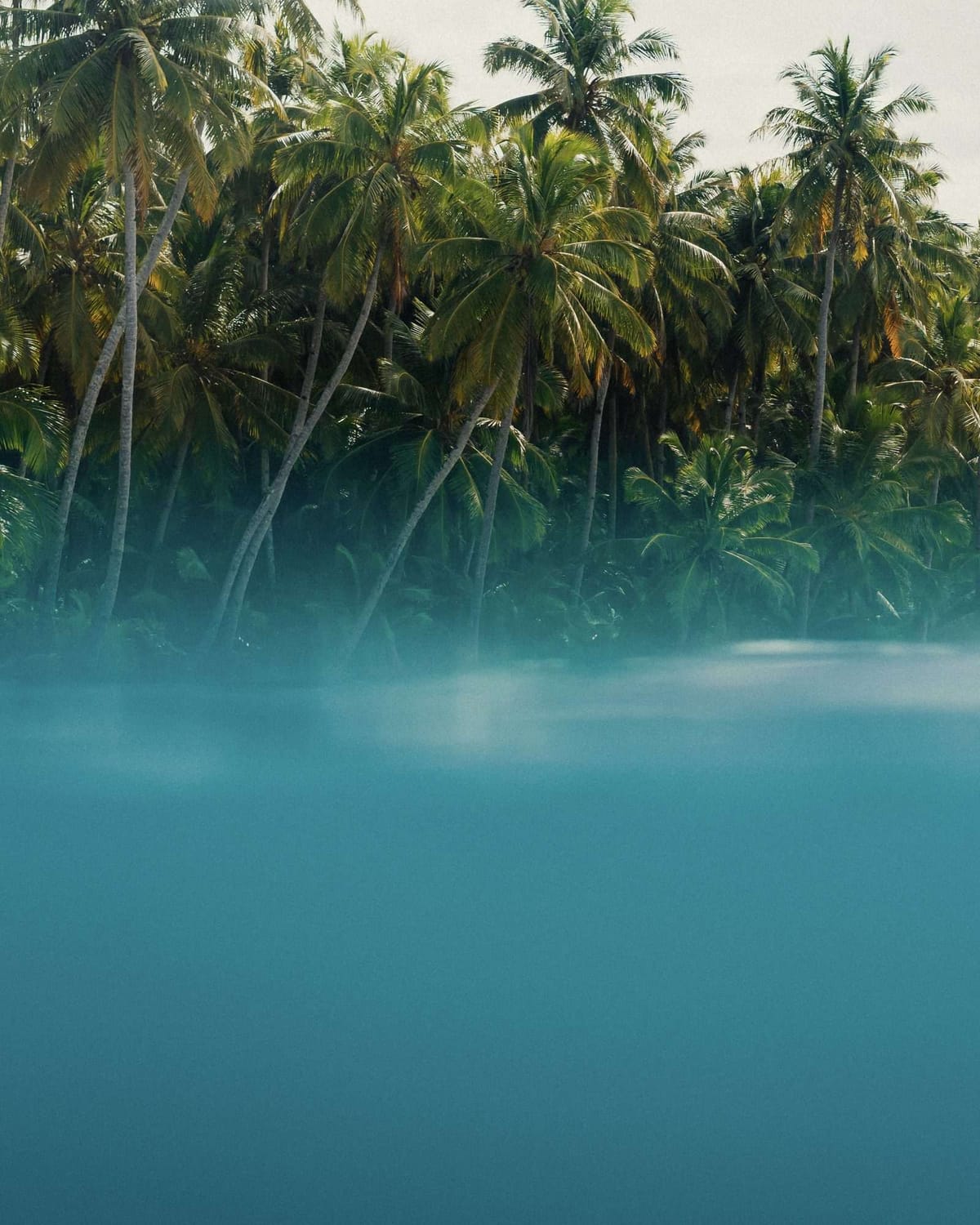 Waterline, Indonesia 2026
