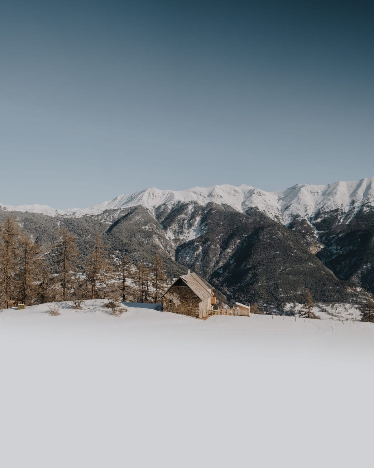 A chalet in the snow, larch forest and mountains