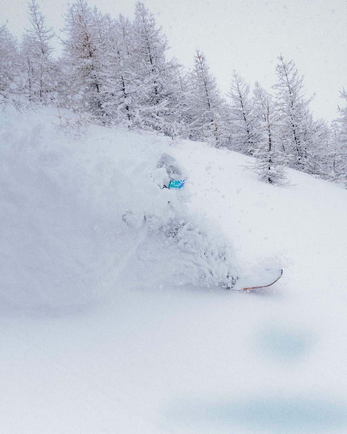 Trace, Alpes françaises 2025. Une pente vierge, un nuage de poudreuse, et quelqu’un dedans.
