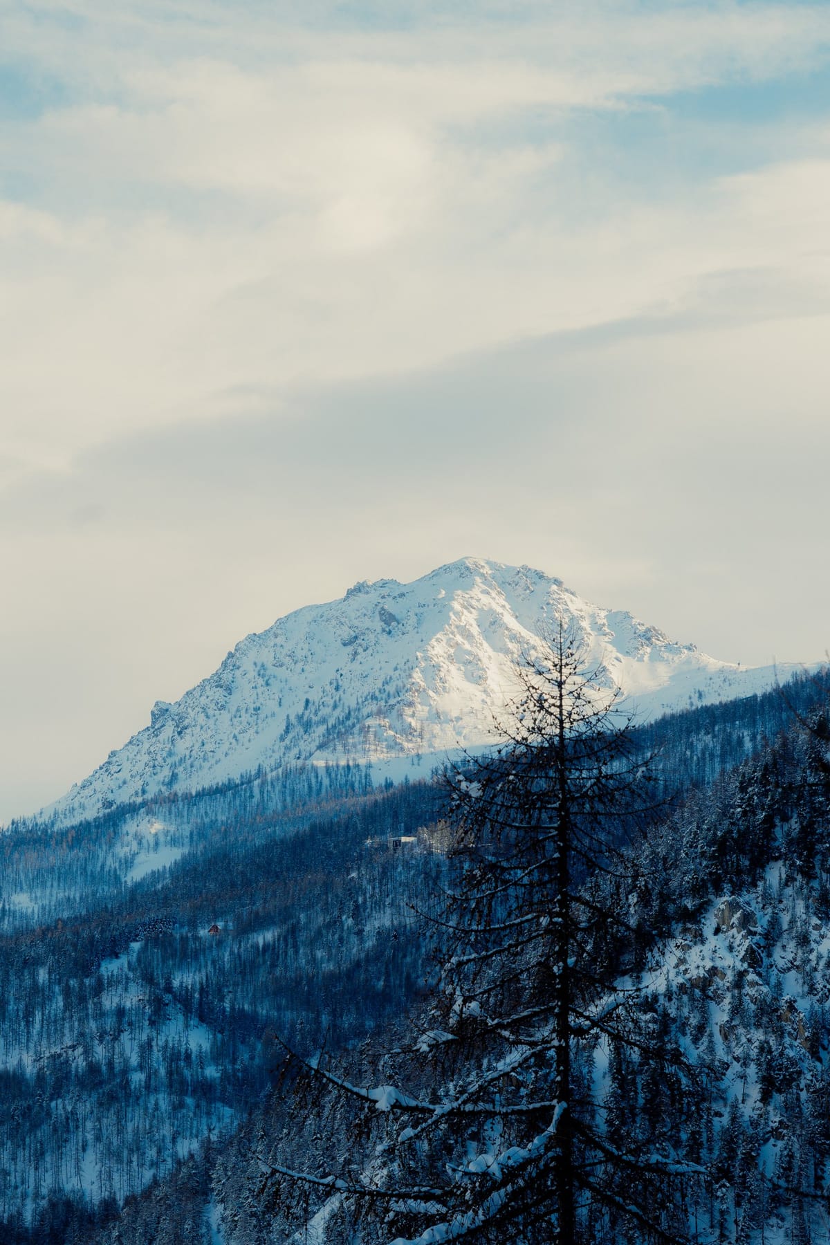 Mountain, 8/11