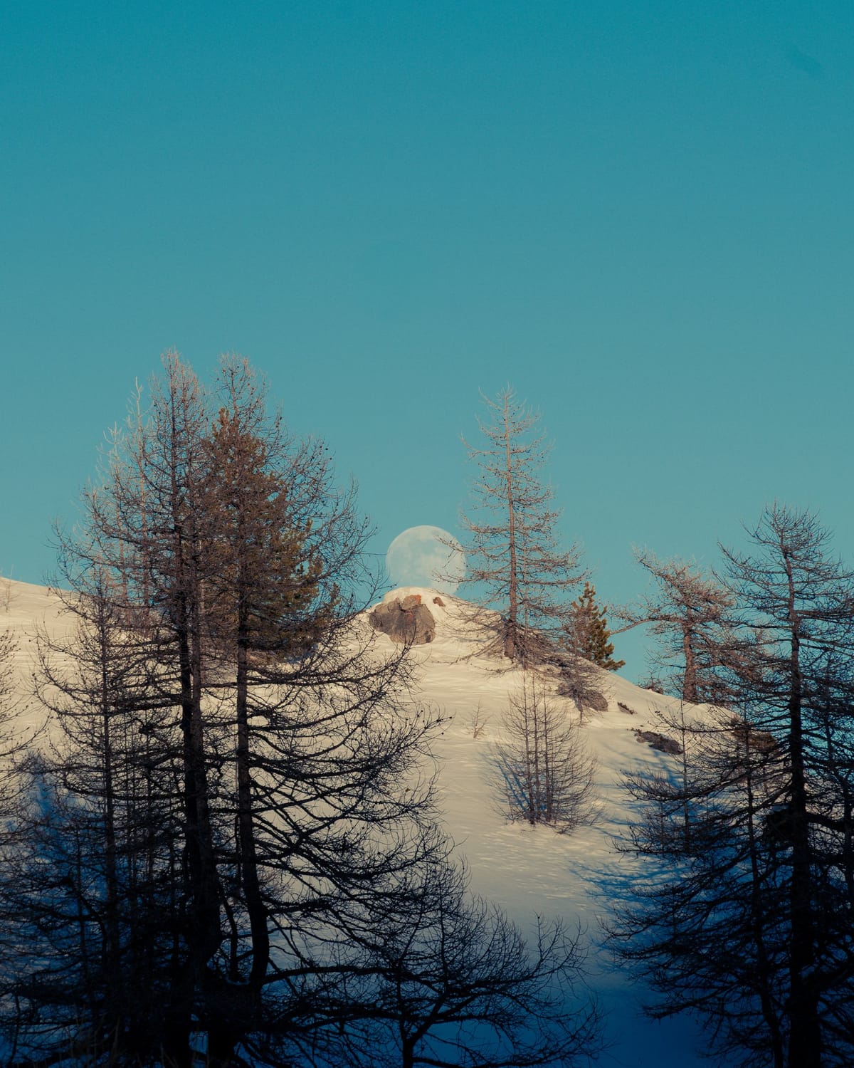 Mountain, 4/11