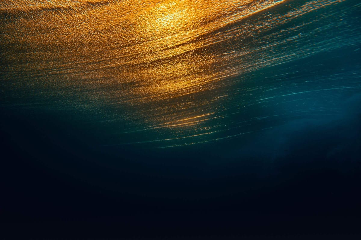 The water’s surface seen from below, lit gold by the sun
